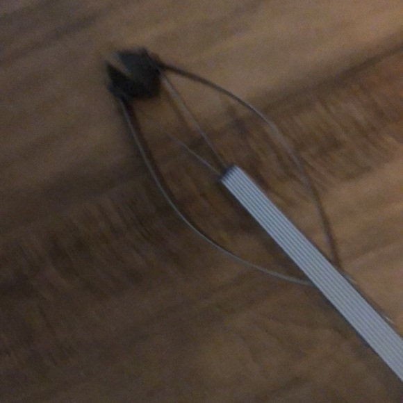 Gopher - Picture 5 of 8